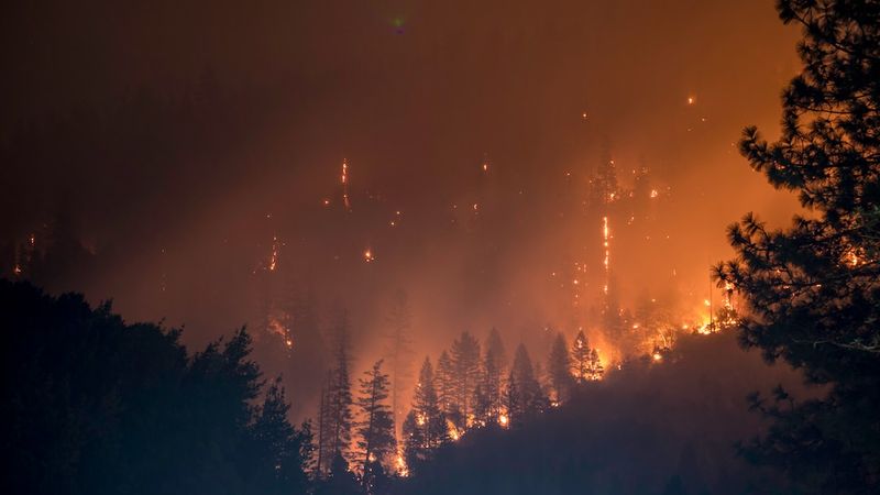 "Battle Against Forest Fires: Months of Efforts for Complete Extinguishment"wordpress,forestfires,extinguishment,battleagainstforestfires,efforts,months