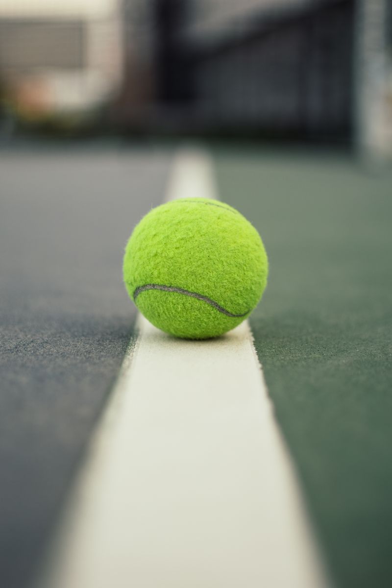"Novak Djokovic's Wimbledon Victory: A Triumph of Tenacity and Precision"sports,tennis,NovakDjokovic,Wimbledon,victory,tenacity,precision