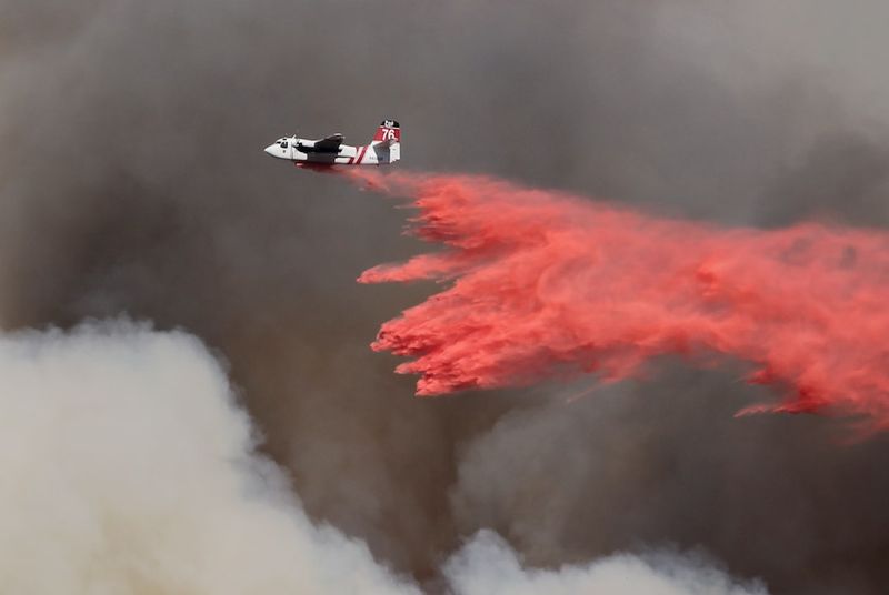 Horsethief Creek wildfire in Invermere, B.C., engulfs over 966 hectares: A devastating blaze threatens local communitywildfire,HorsethiefCreek,Invermere,B.C.,blaze,localcommunity,devastation
