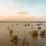 Drone Footage Captures Devastating Flooding After Hillary Hits Palm Springsdronefootage,flooding,Hillary,PalmSprings,naturaldisaster