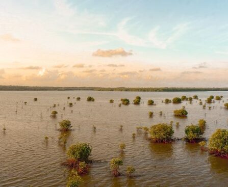 Drone Footage Captures Devastating Flooding After Hillary Hits Palm Springsdronefootage,flooding,Hillary,PalmSprings,naturaldisaster