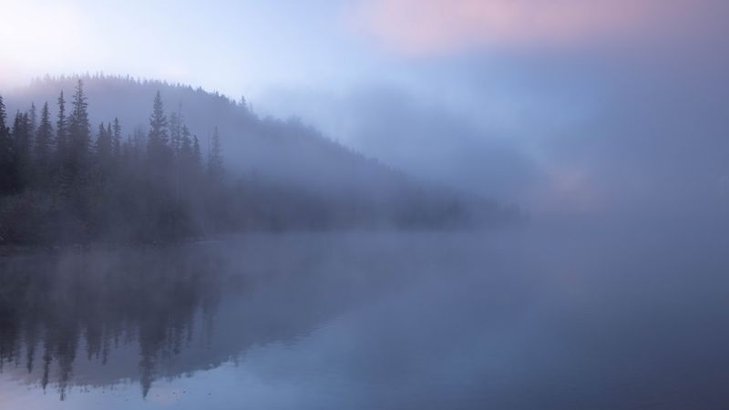 Edmonton's Weather Woes: Battling Near-Zero Visibility, Thick Fog, and Poor Air Qualityweather,Edmonton,visibility,fog,airquality