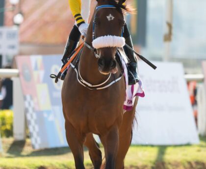 Canada's Racing Crown Jewels: Paramount Prince Reigns Supreme in the 164th King's Platewordpress,Canada,racing,CrownJewels,ParamountPrince,164thKing'sPlate