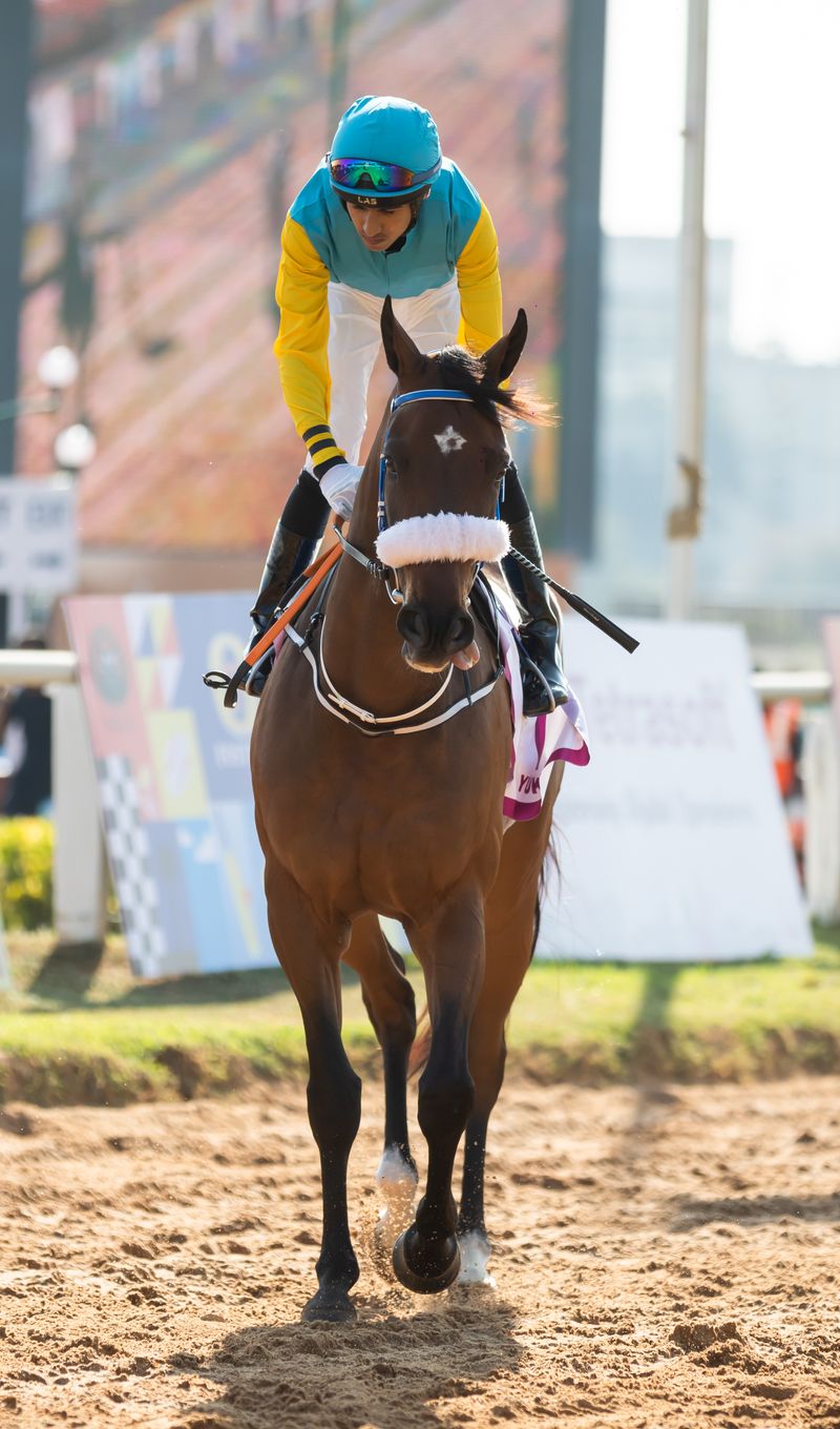 Canada's Racing Crown Jewels: Paramount Prince Reigns Supreme in the 164th King's Platewordpress,Canada,racing,CrownJewels,ParamountPrince,164thKing'sPlate