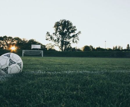 Premier League Soccer Livestream: Where to Catch the Newcastle vs ... Clashpremierleague,soccer,livestream,newcastle,clash