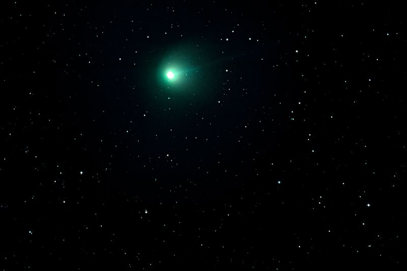 How to Marvel at Green Comet Nishimura's Spectacle in Canadian Skiesgreencomet,Nishimura,spectacle,Canadianskies