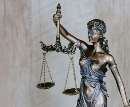 Justice Prevails: The Veltman Trial Continues with Powerful Witness Testimoniesjustice,Veltmantrial,witnesstestimonies