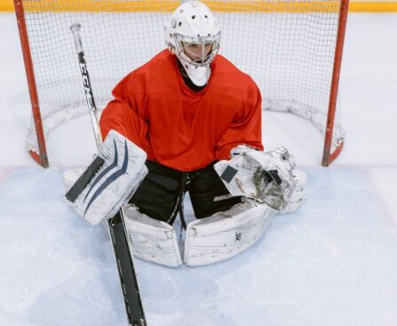 Claude Giroux's Goal Helps Ottawa Senators Overcome Washington Capitalssports,icehockey,NHL,OttawaSenators,WashingtonCapitals,ClaudeGiroux,goal