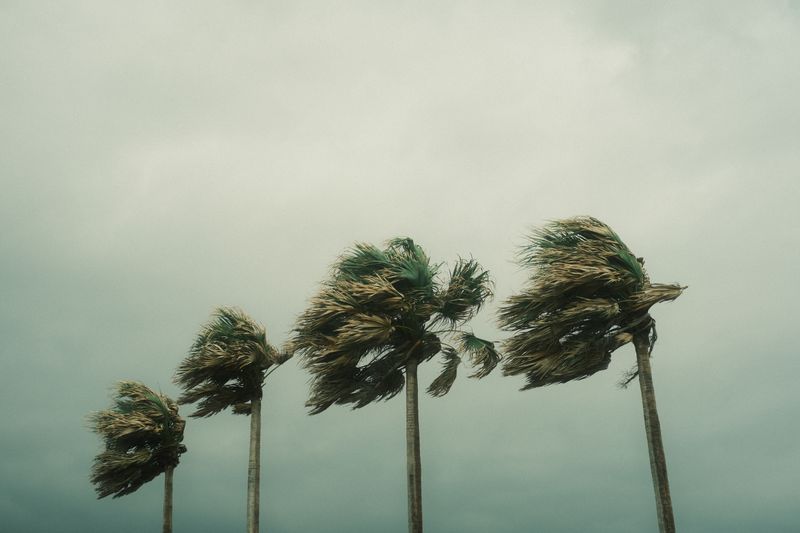 "Otis' Impact: Tracking the Path of a Weakening Hurricane in Mexico"hurricanetracking,hurricaneimpact,Mexico,Otis,weatherforecasting