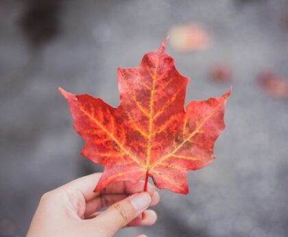 October 2023: Reflecting on Canada's Momentous Pastcanadianhistory,historicalevents,canada'smilestones,significantmoments,canadianheritage